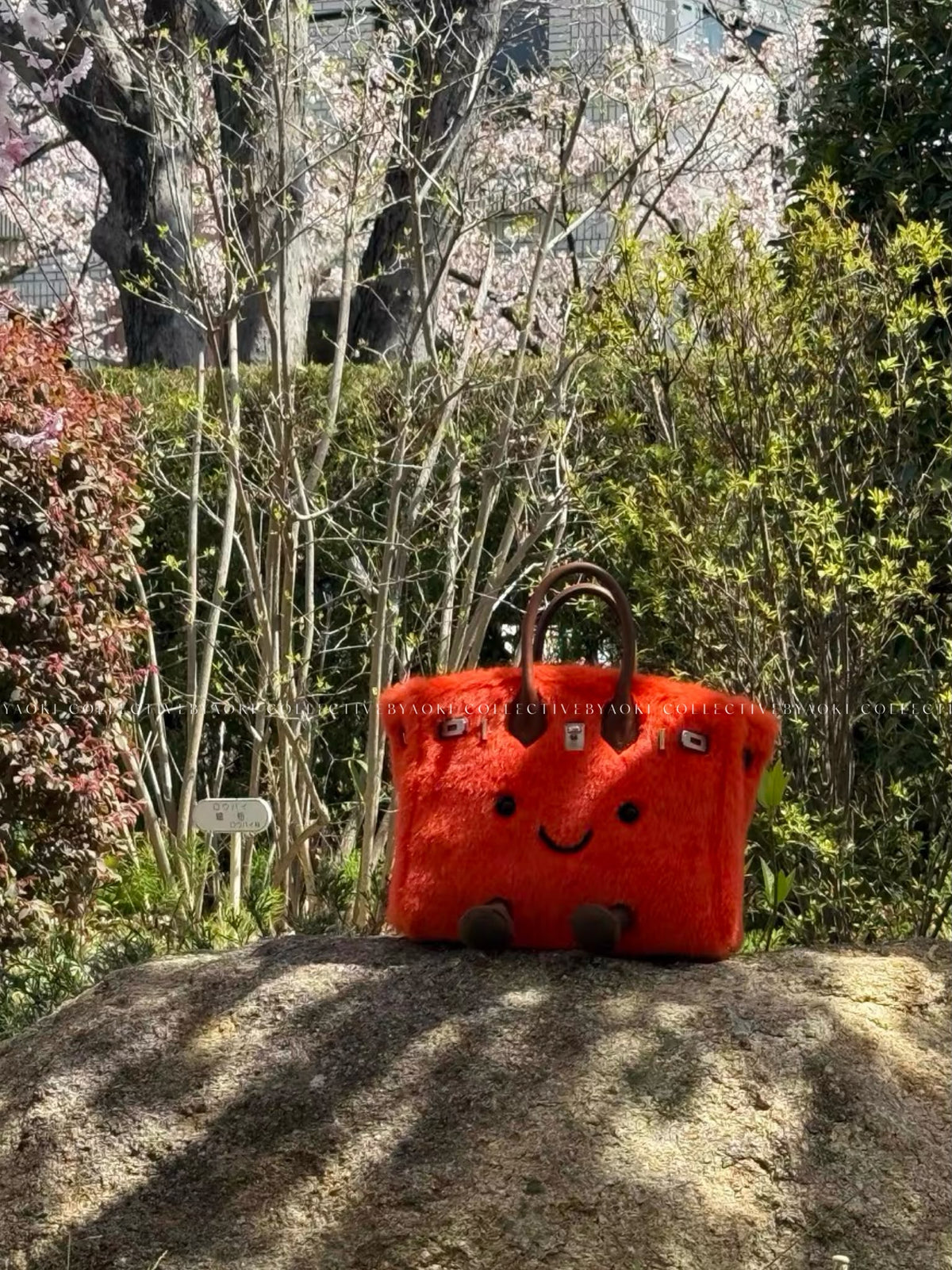 蓬蓬小姐 — 柑橘雪酪