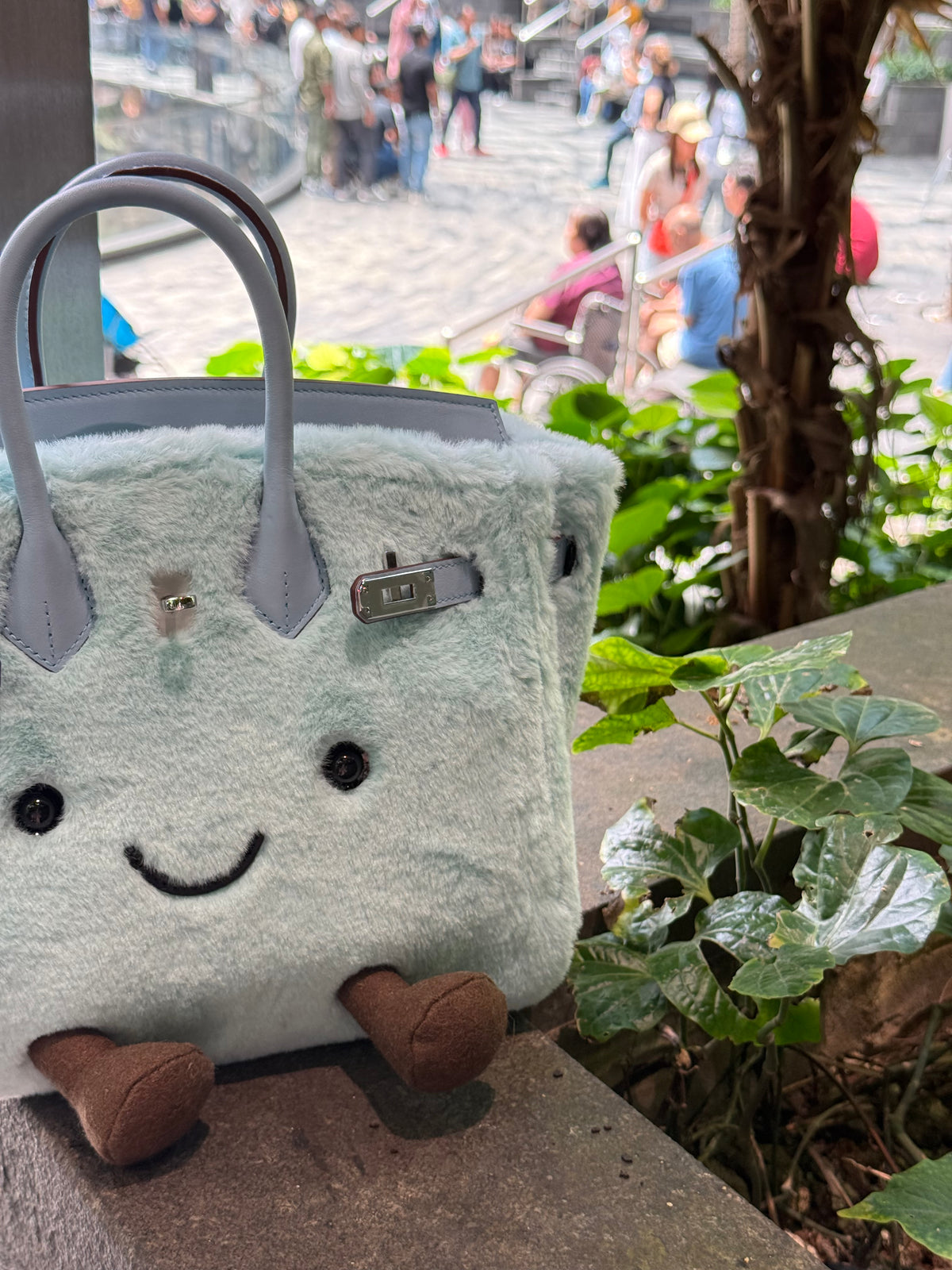 Little Miss Fluffy — Frost